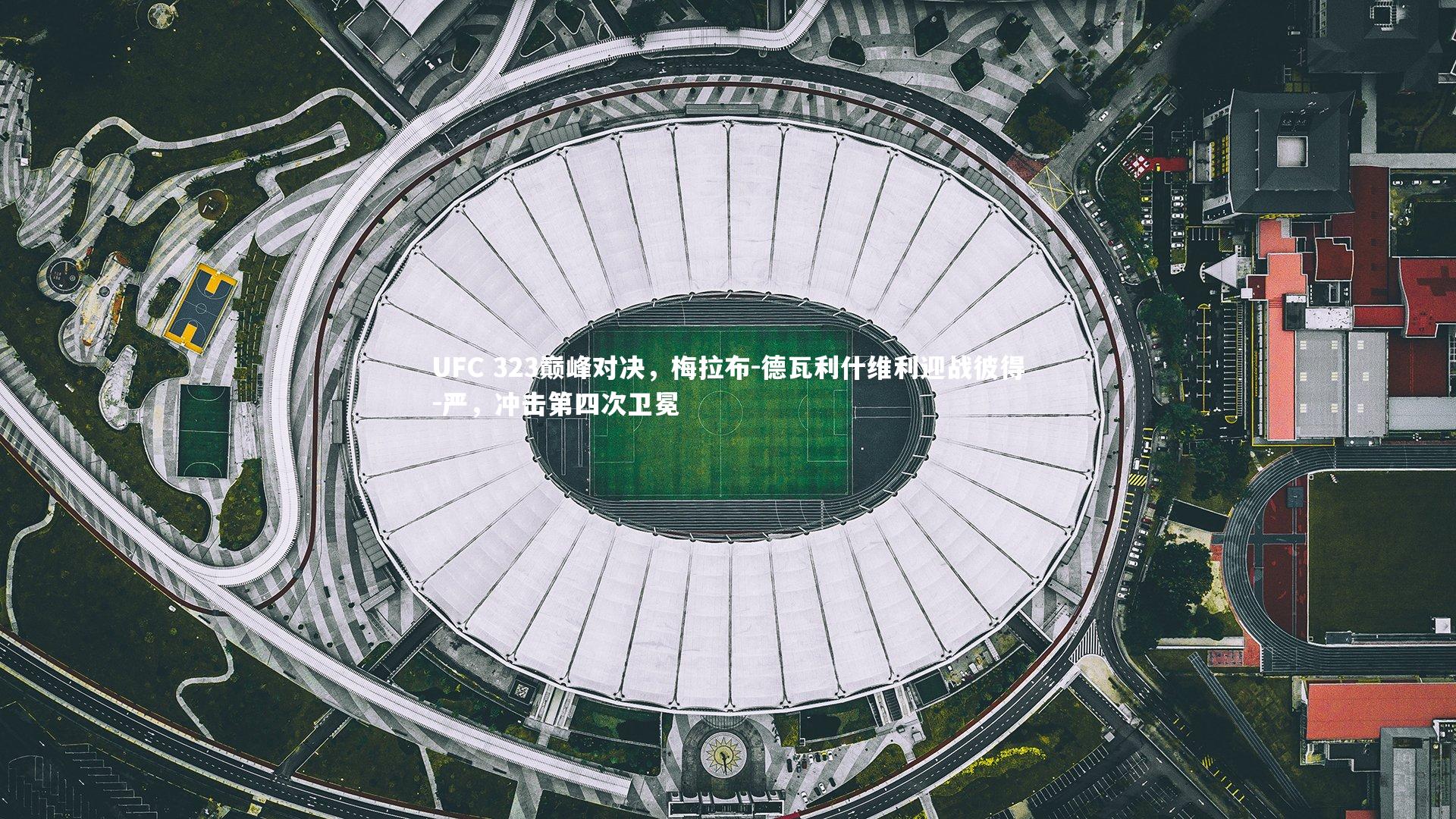 UFC 323巅峰对决,梅拉布-德瓦利什维利迎战彼得-严,冲击第四次卫冕